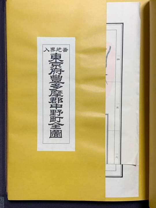 東京市近傍郡部町村番地界入地図　明治44年調査　東京逓信管理局 編　人文社版