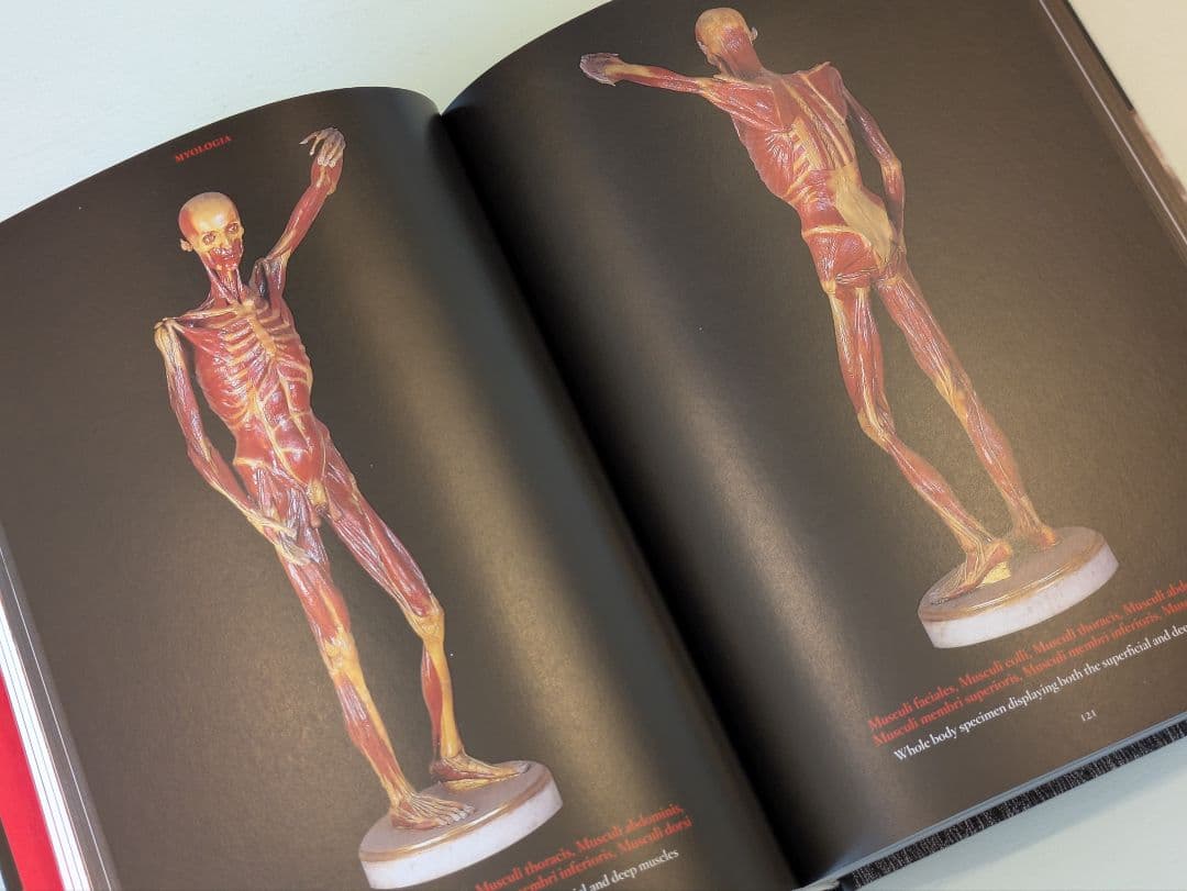 【新品】Anatomical Waxes / Taschen 解剖学 蝋人形