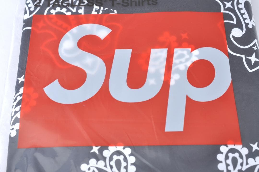 Supreme x Hanes Bandana Tシャツ 2枚 黒 TA2583