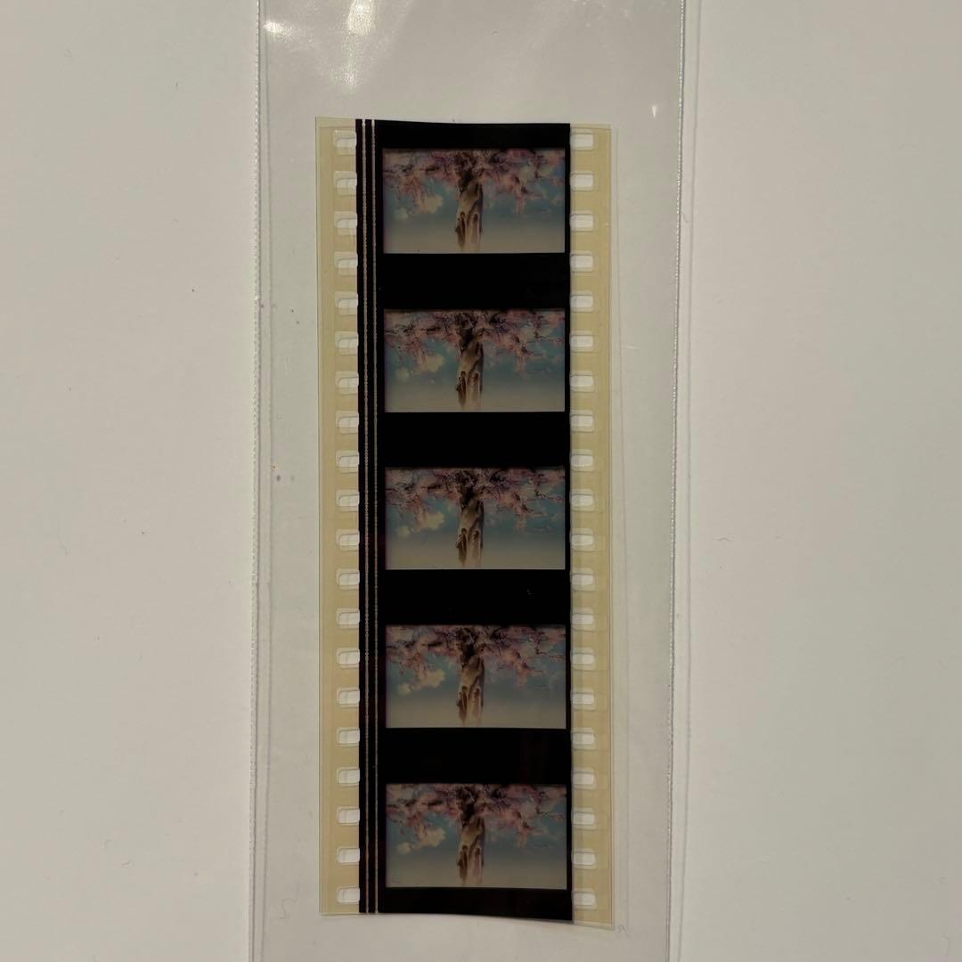 秋速5センチメートル DVD-BOX