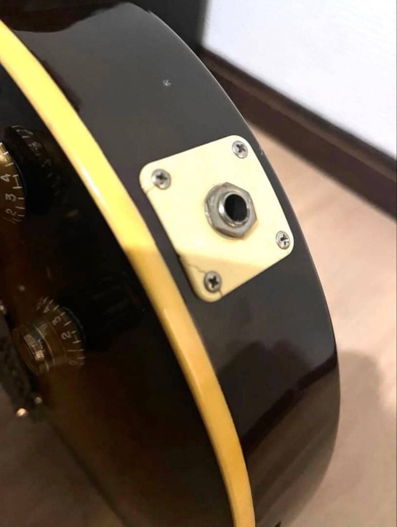 Aria Pro IIレスポールタイプ サンバースト Les Paul ケース付