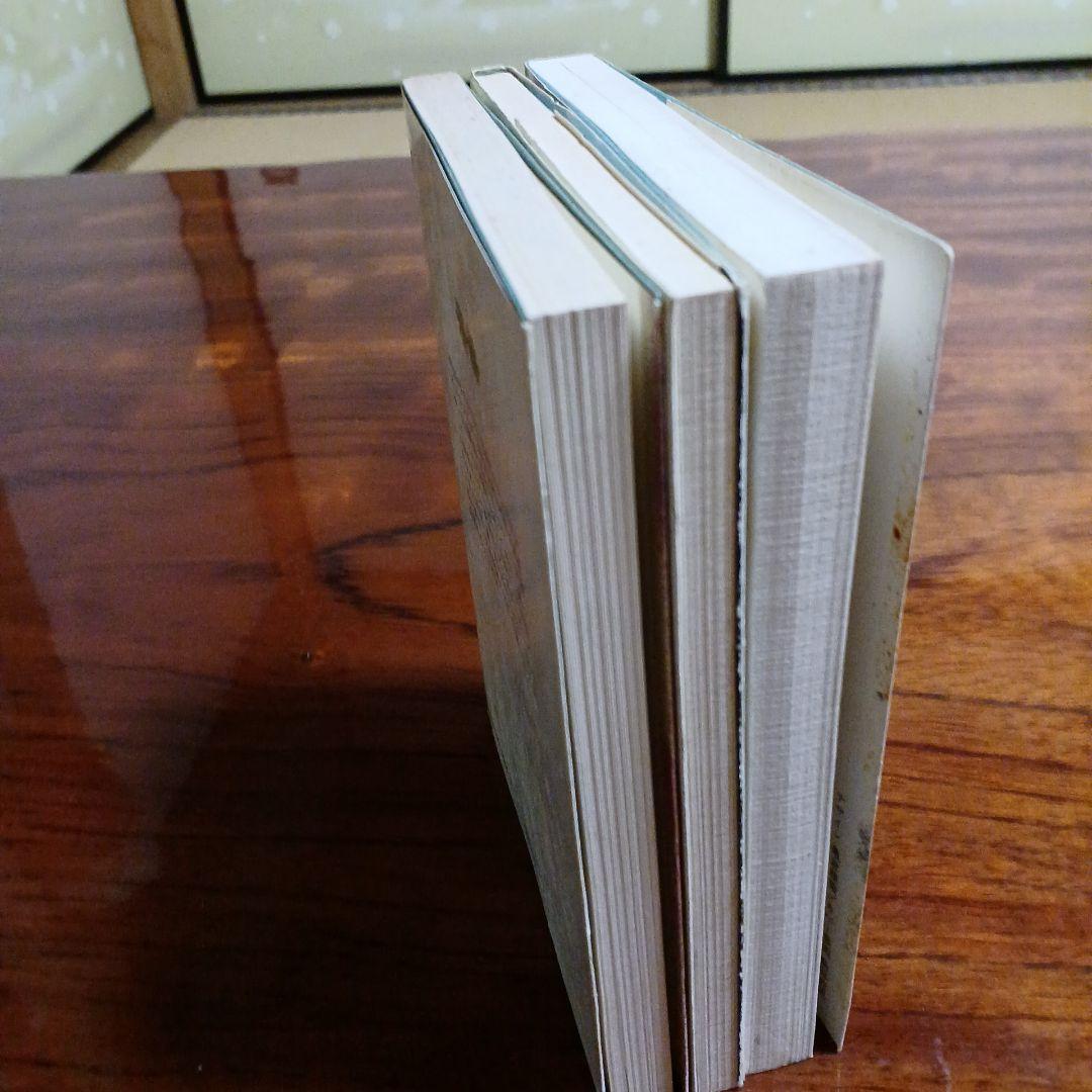 藤枝静男講談社文庫3冊セットです。