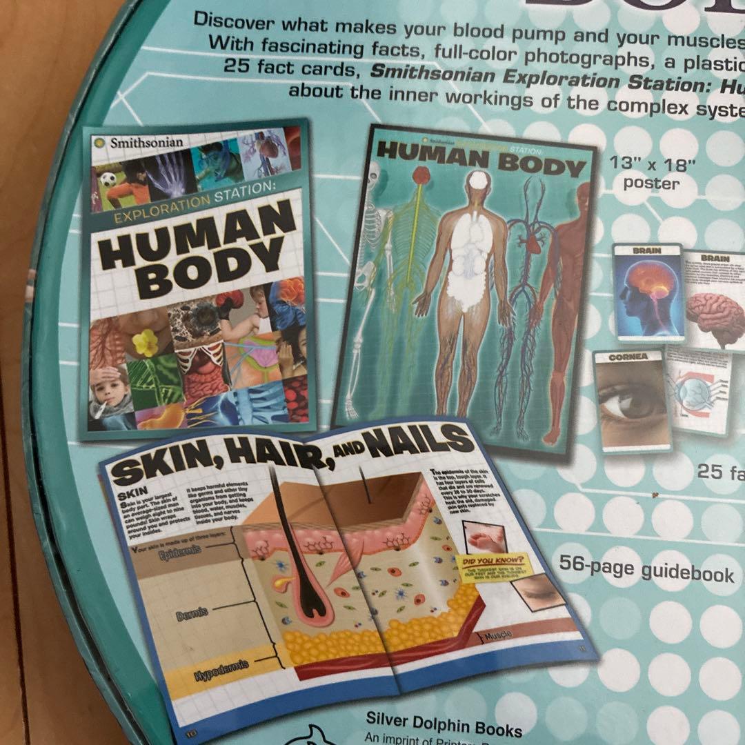 Human Body サイエンス 人体 キット 英語