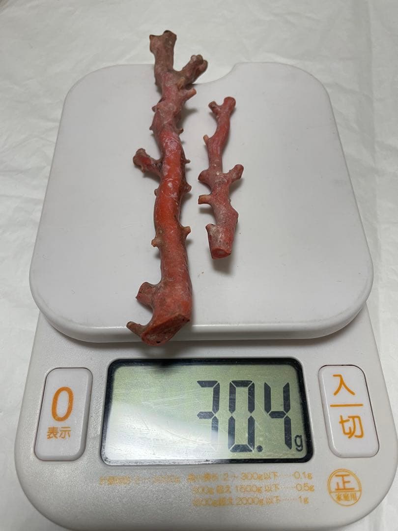 珊瑚サンゴ、赤珊瑚、本珊瑚原木の置物