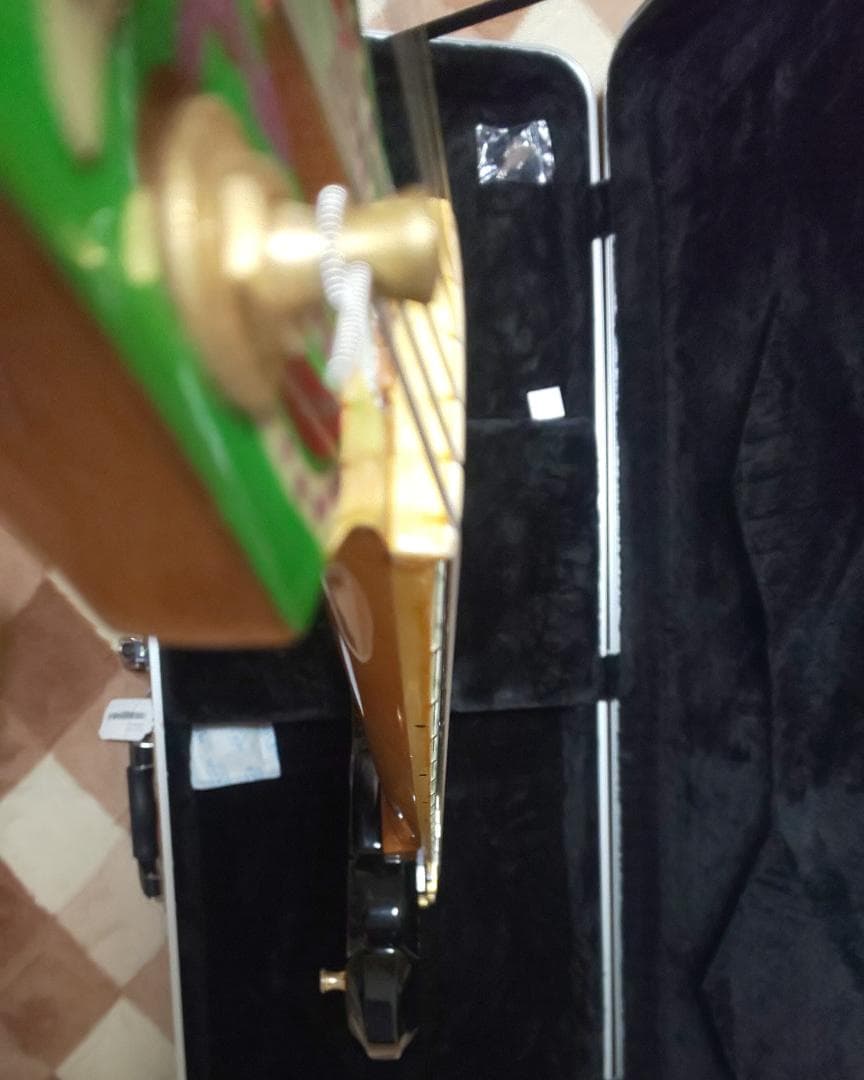 FERNANDES　MG-120X　hideモデル