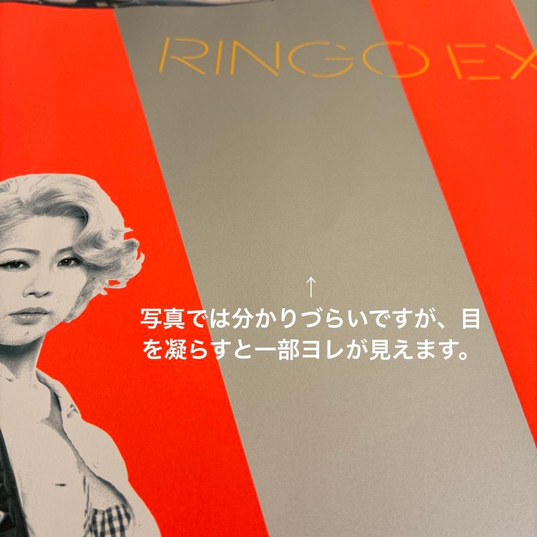 し*こ様 孔*檎様 椎名林檎　特大ポスター　お天道様