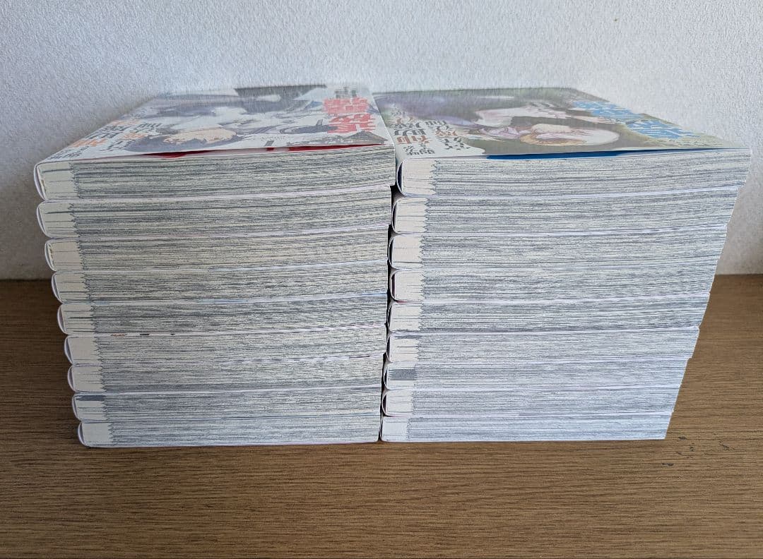 味方が弱すぎて補助魔法に徹していた　 宮廷魔法師 全巻セット　送料無料