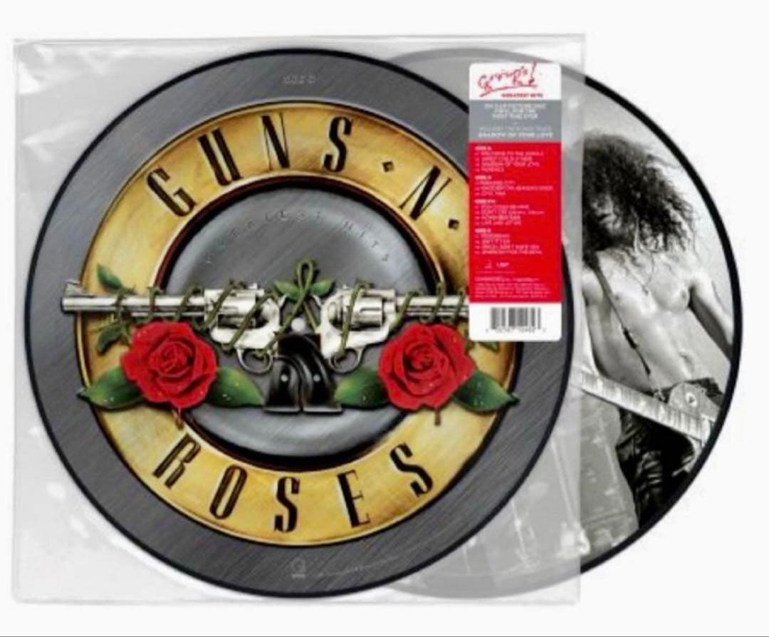 ガンズ・アンド・ローゼズ　Greatest Hits ピクチャーレコード　2LP
