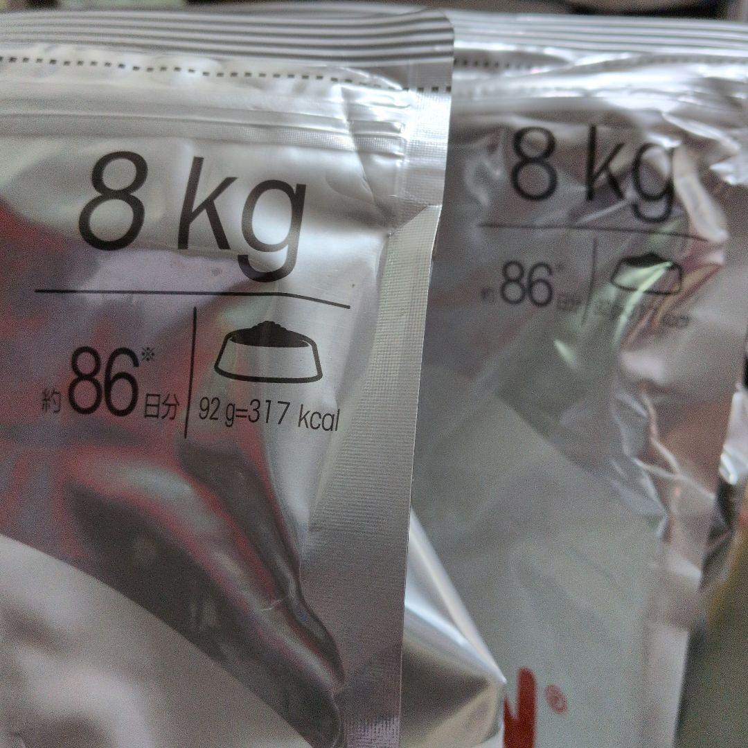 ロイヤルカナンミニステアライズド避妊去勢犬用 8kg×2袋セット 新品未開封‼️