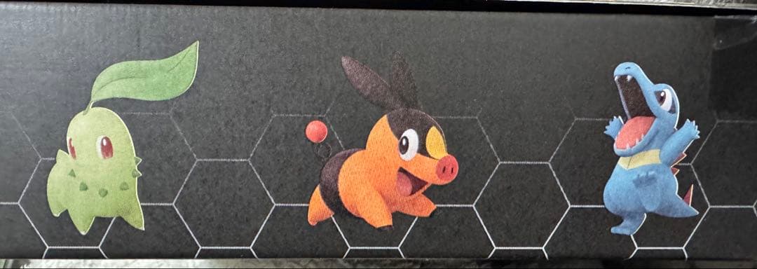 ポケモンZA Switch版ポケモンセンターセット 早期購入特典シリアル付