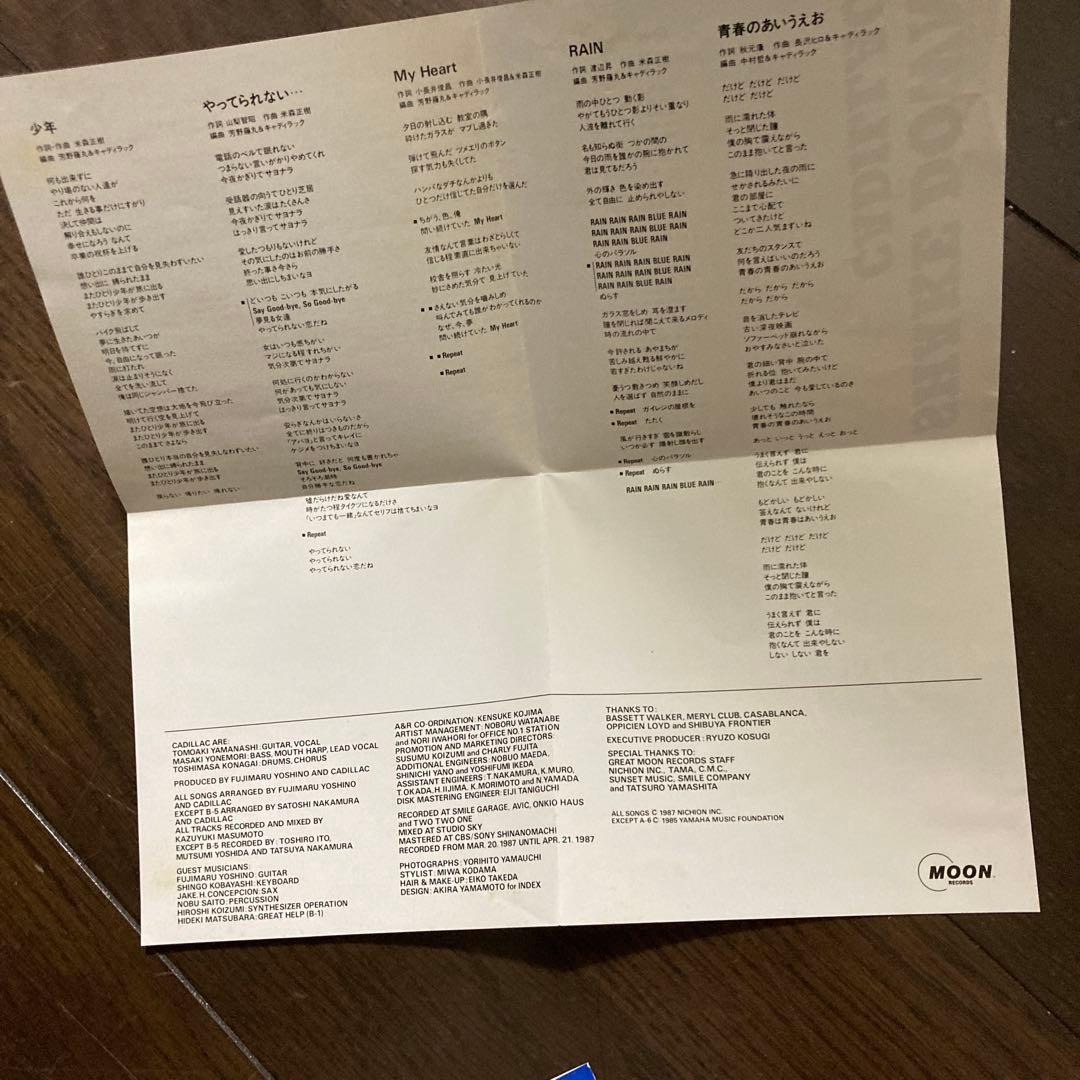当時物！キャディラック/シェイク・ダウン　レンタル落ち