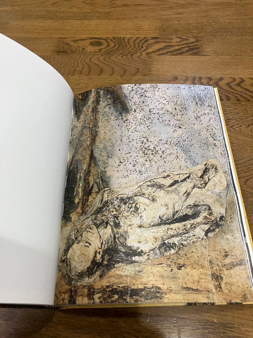Anselm Kiefer Fallen Angels アンゼルム キーファー