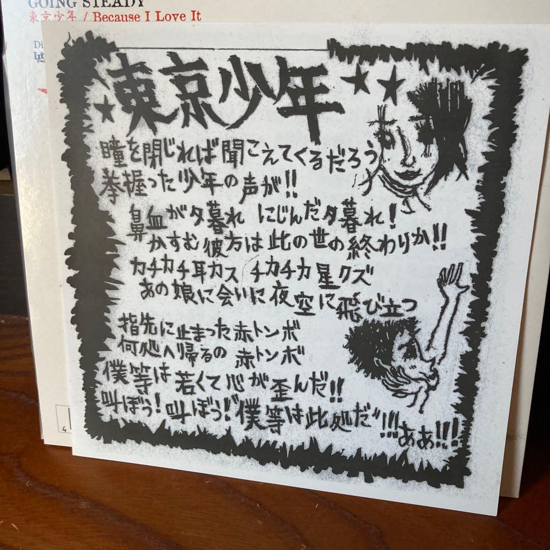 GOING STEADY 銀杏BOYZ東京少年、星に願いを