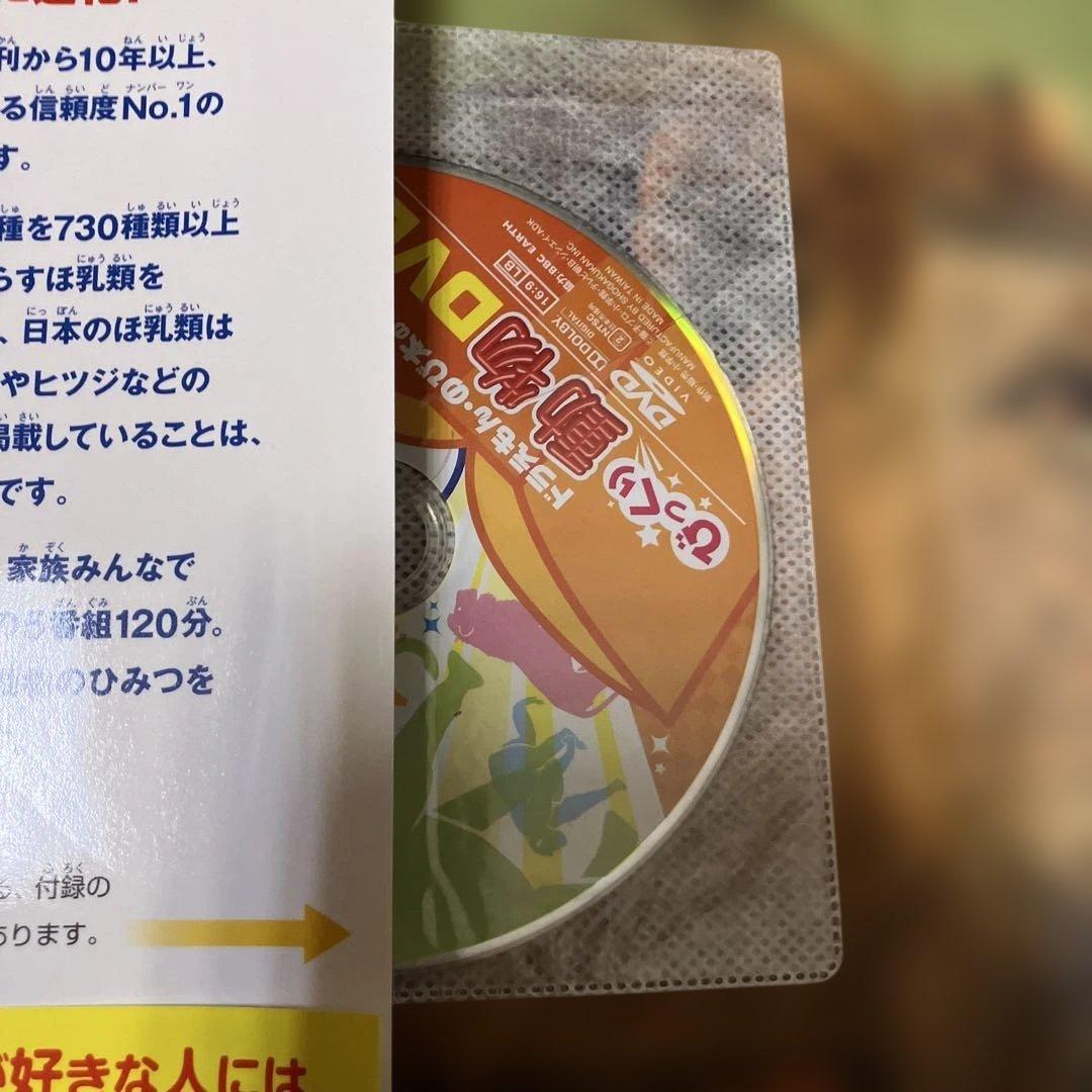 小学校の図鑑 NEO 新版 DVD付き 5冊セット