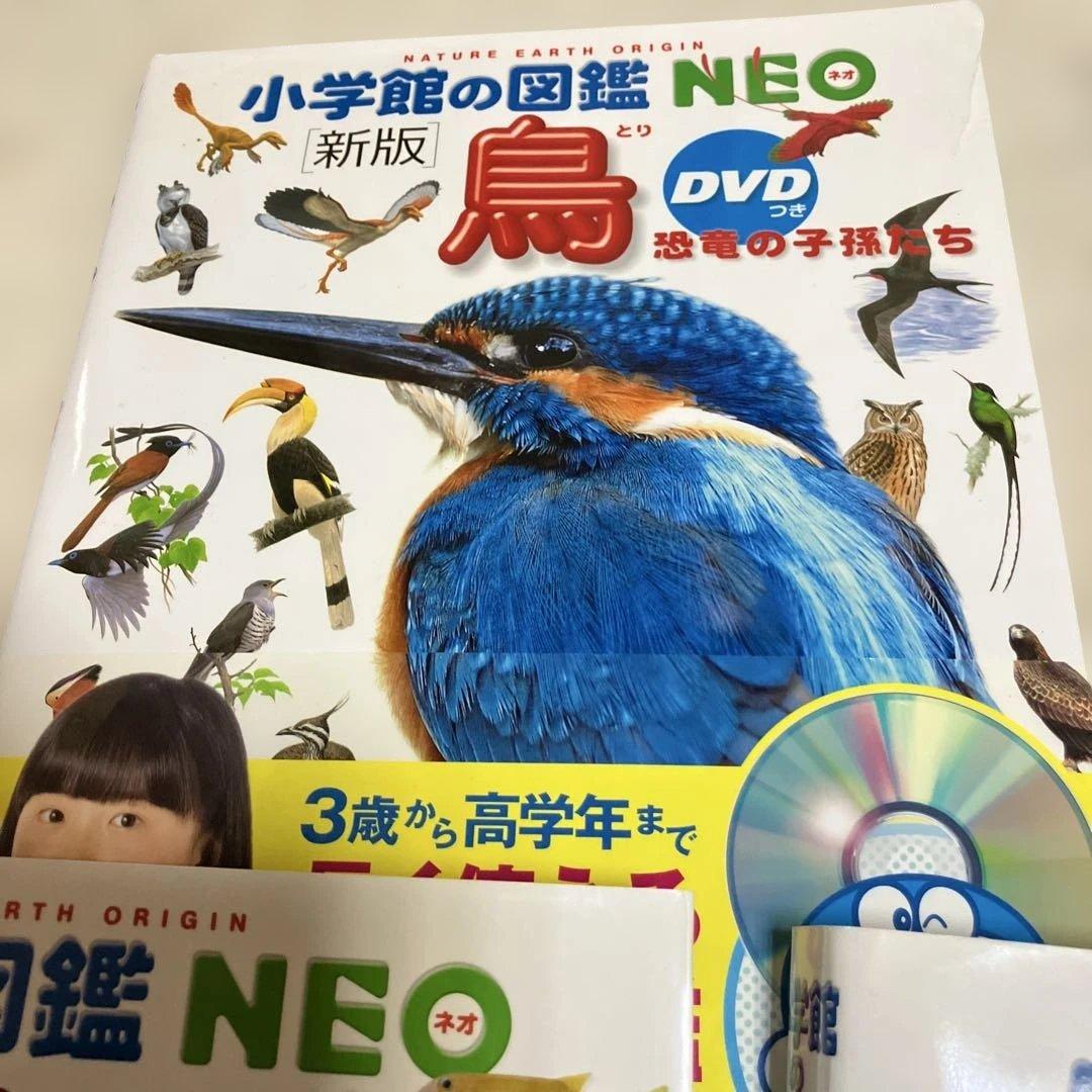 小学校の図鑑 NEO 新版 DVD付き 5冊セット