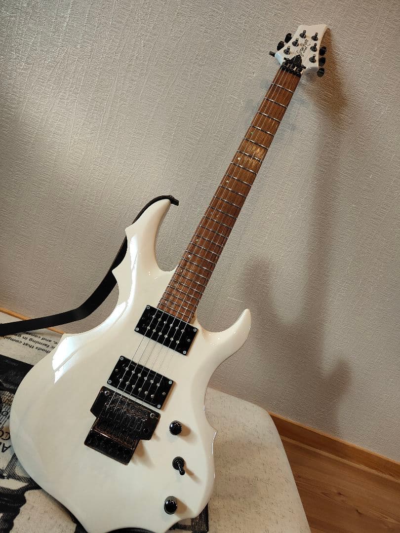 ESP GrassRoot FOREST G-FR-62GT? グラスルーツ