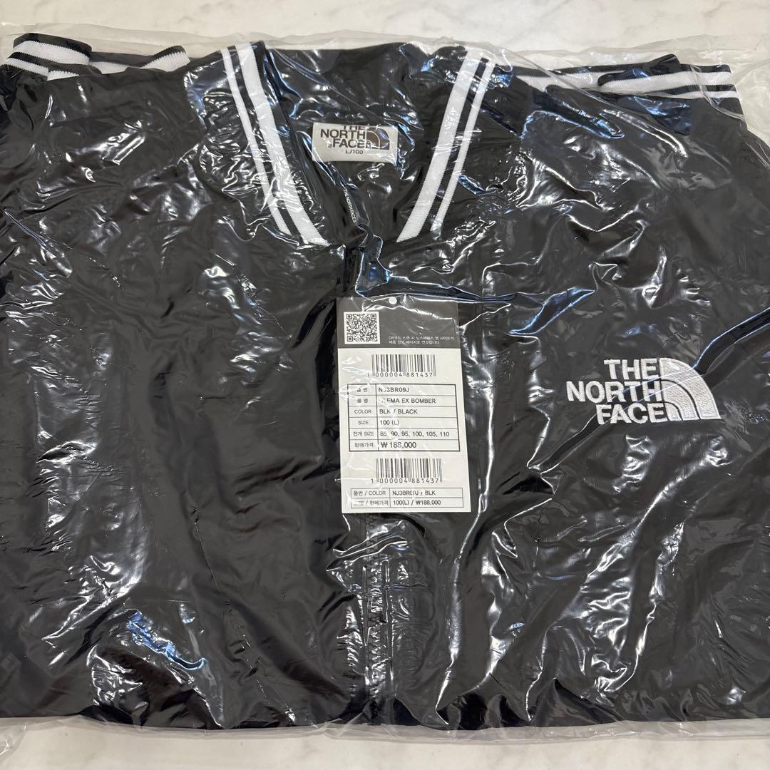 韓国限定✨THE NORTH FACE オレマEX ボンバージャケット Lサイズ