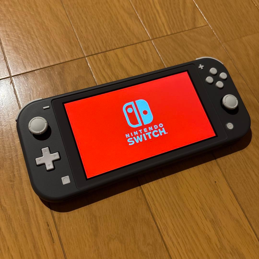【美品】 Nintendo Switch Lite 収納ケース付き