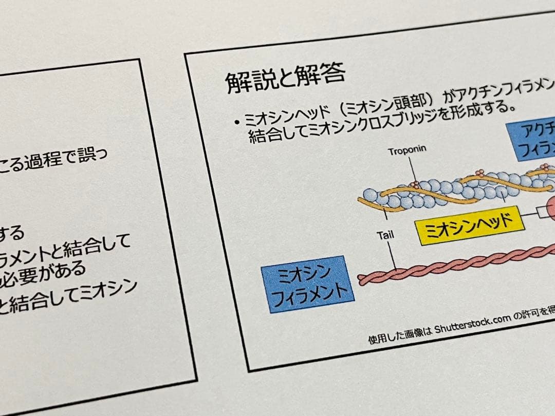※4冊セット【2026年版】CSCS試験対策問題集（600問）