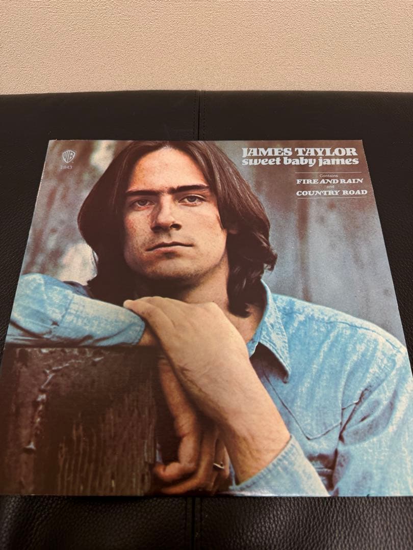 James Taylor ジェイムス・テイラー LP ９タイトルまとめ売り