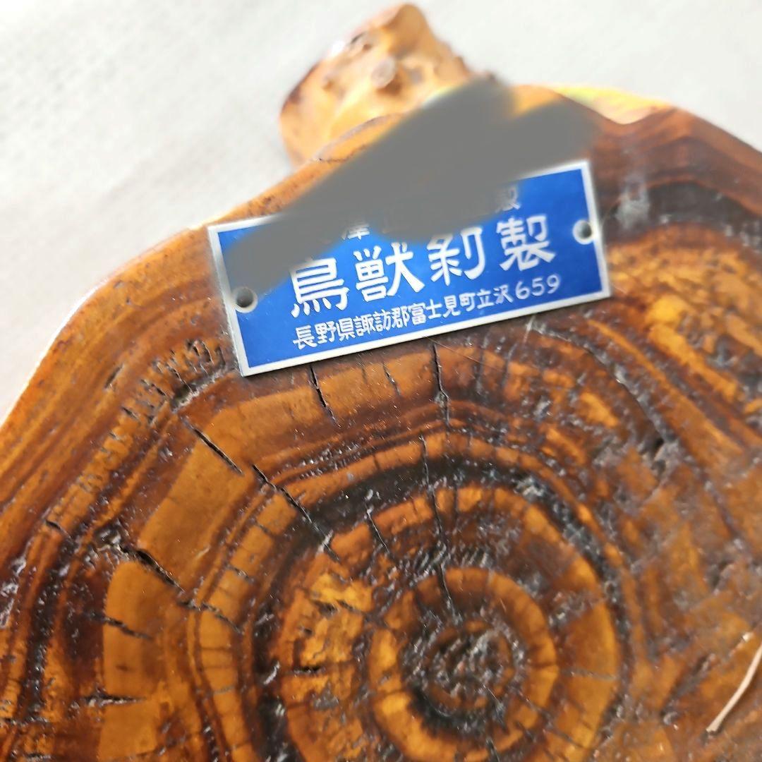 タヌキ　狸　鳥獣　剥製　本物　縁起物　商売繁盛　出世運　天然木　台座付き