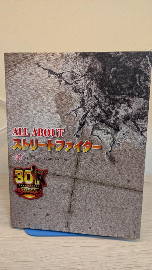 ストリートファイター 30th アニバーサリーコレクション インターナショナル