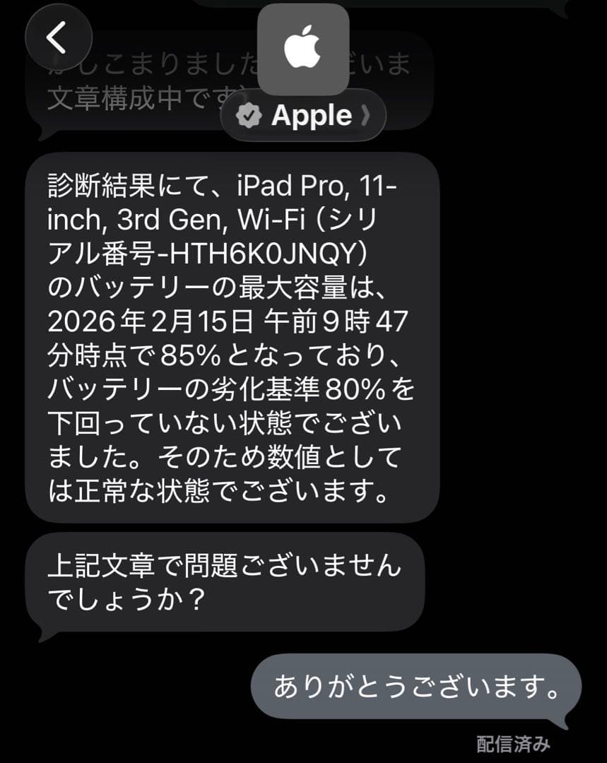 iPad Pro 11インチ 第3世代 バッテリー85%