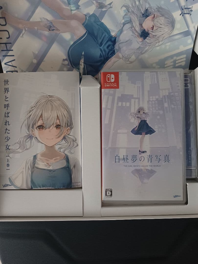 値下げ不可　白昼夢の青写真 コレクターズBOX switch