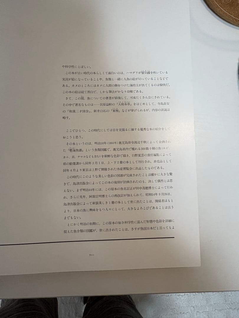 魚譜 日本料理成分付精選 大図鑑