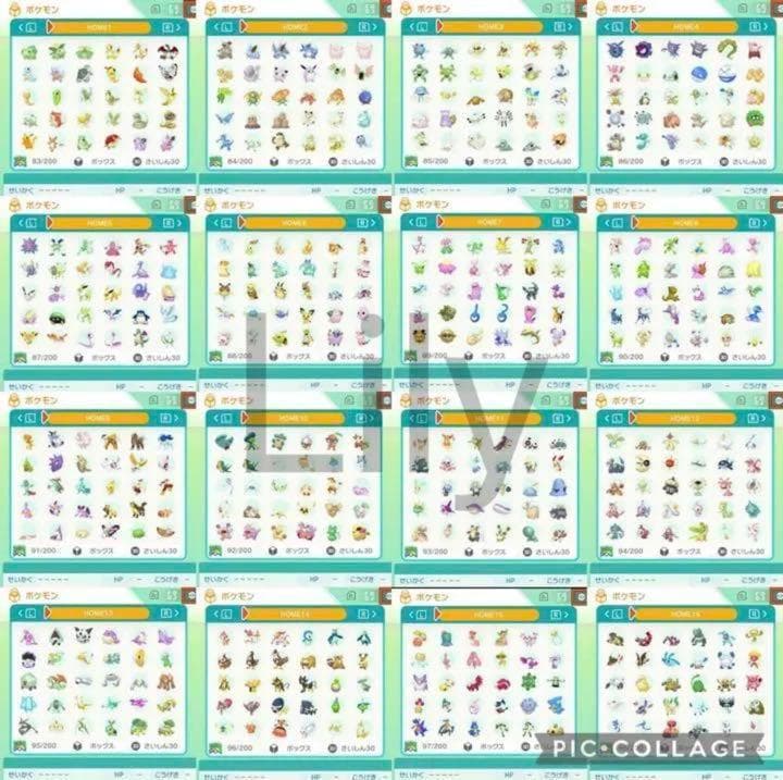 【ポケモン】ウルトラサン ケース付き　各種配信 理想メタモン 道具完備