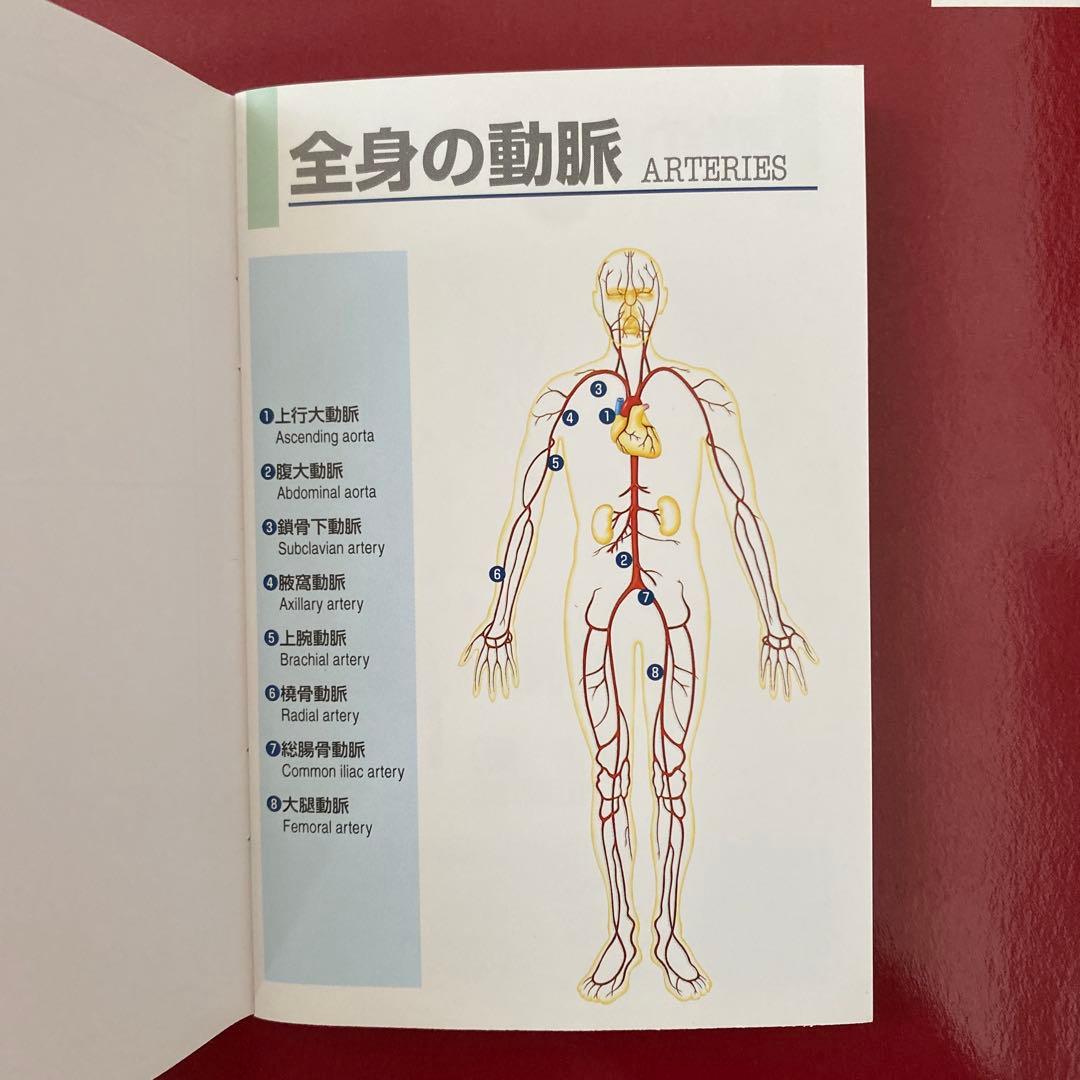 解剖学3冊