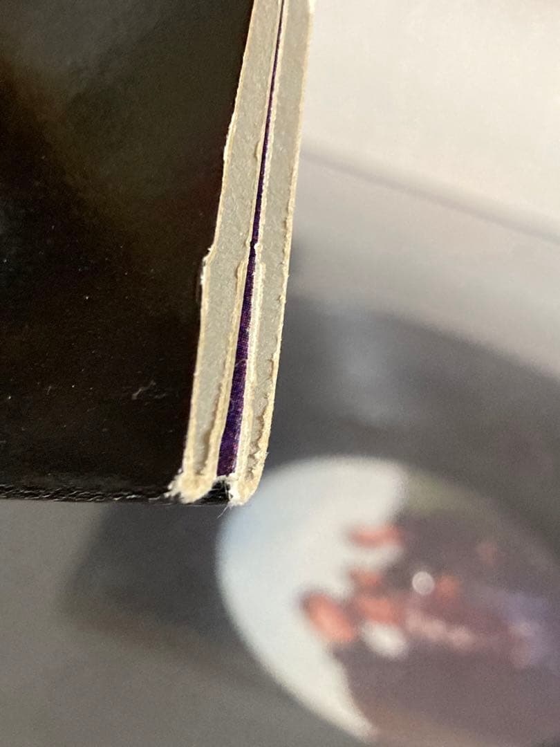 洋楽 Ride / Carnival Of Light LP