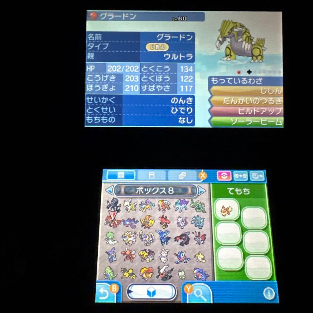 ツ*∞様 配布ポケモン多数所持 ポケットモンスタームーン