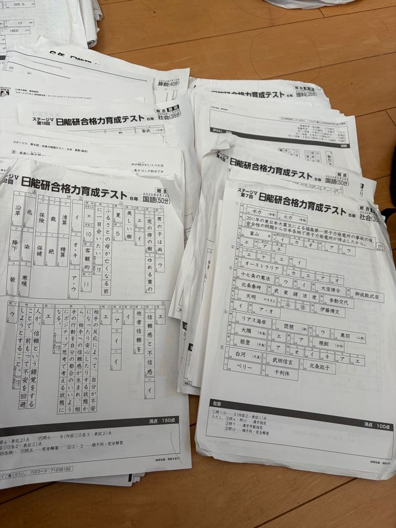 日能研4教科学習力育成テスト2025年合格力テスト