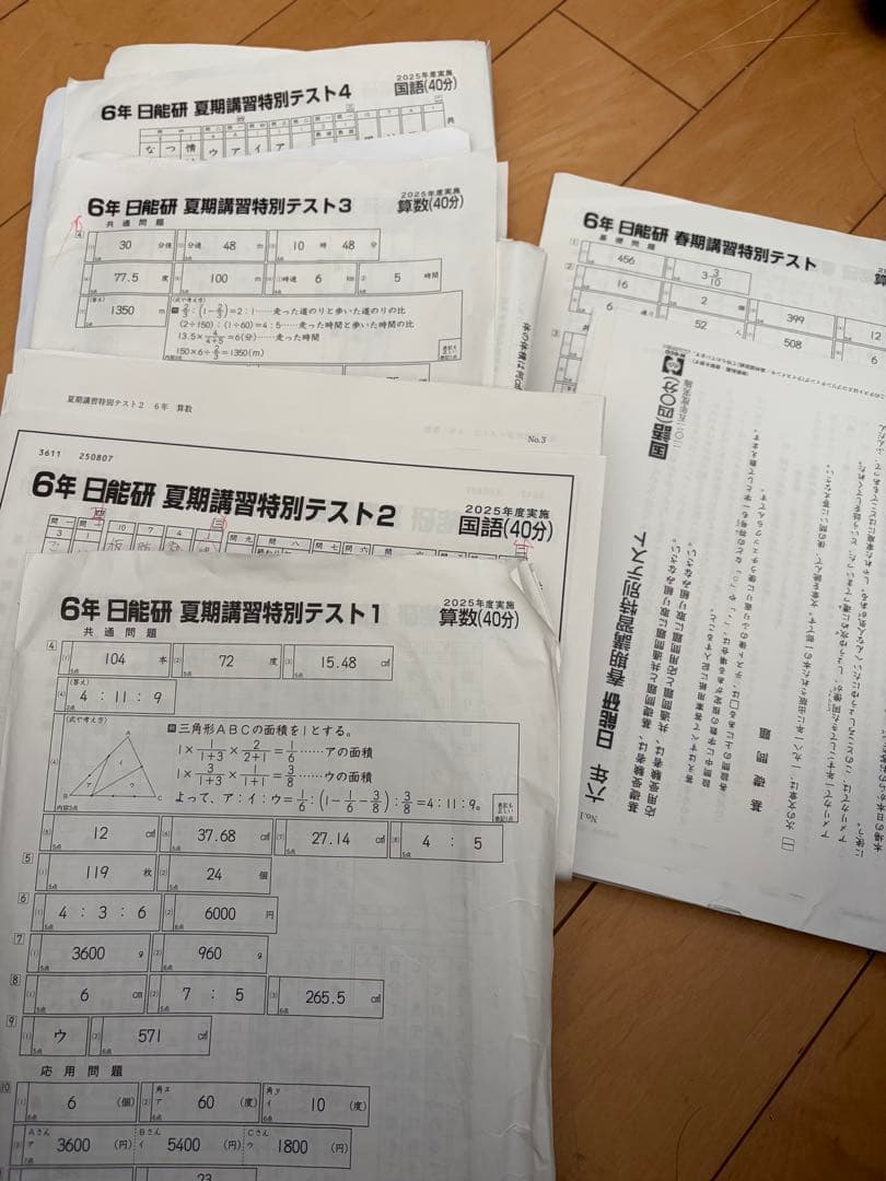 日能研4教科学習力育成テスト2025年合格力テスト