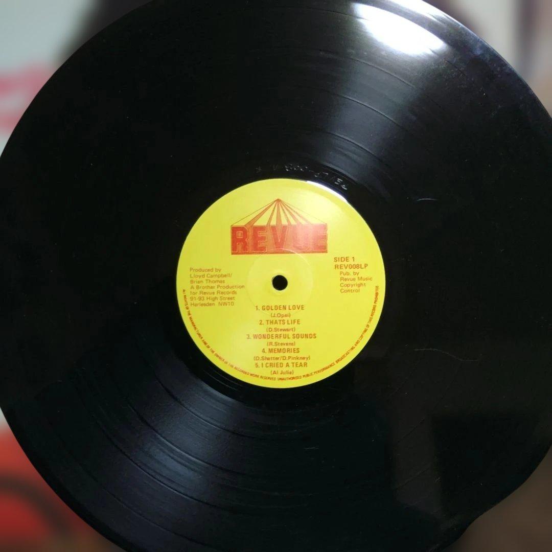 洋楽 DOREEN SHAFFER/wonderful sounds