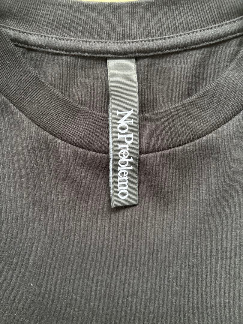 No Problemo グラフィックTシャツ マトリックス　aries