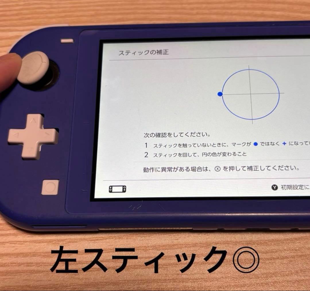 2021年　動作確認済み◎Nintendo Switch light 本体のみ