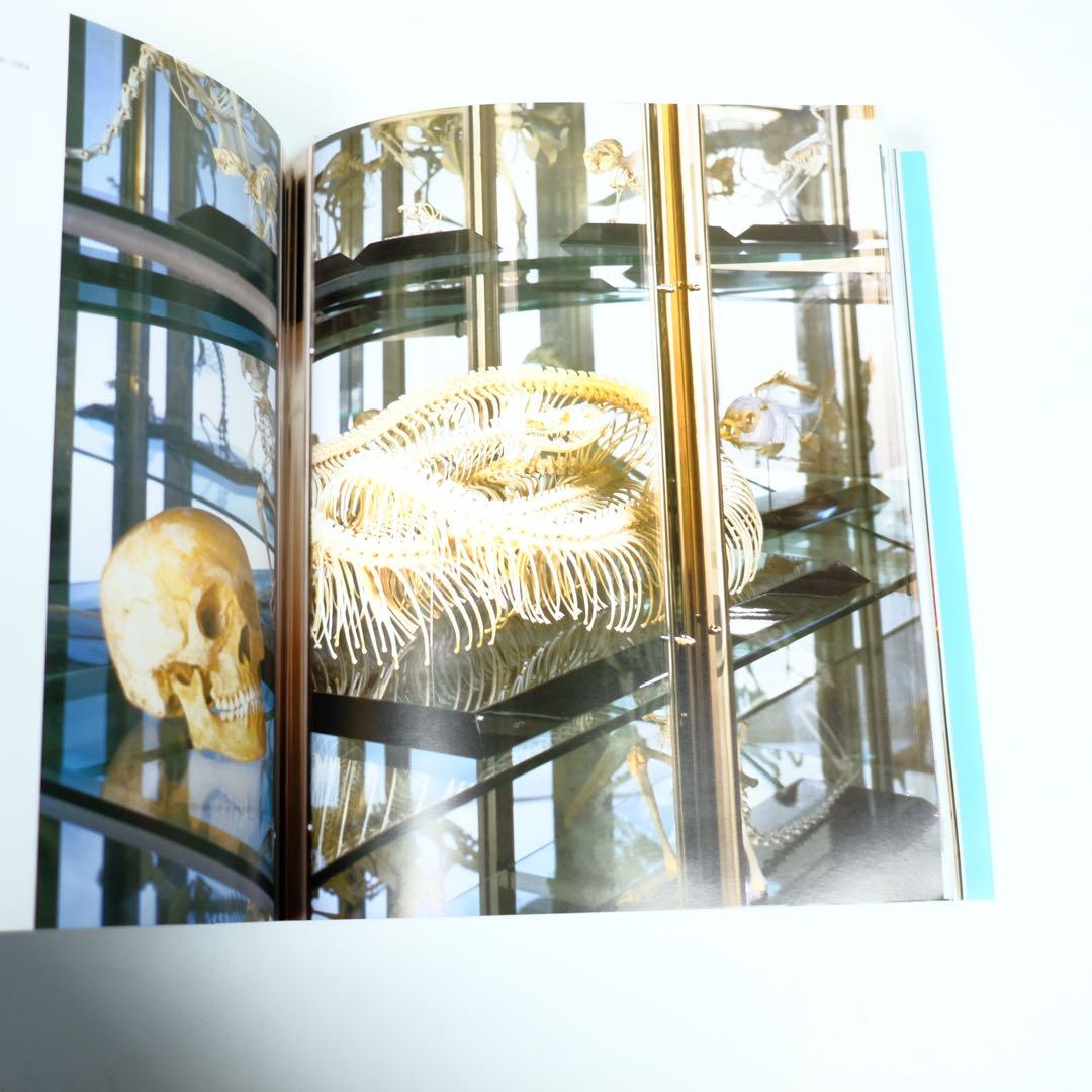 DAMIEN HIRST ダミアン・ハースト　洋書　写真集　作品集　初版