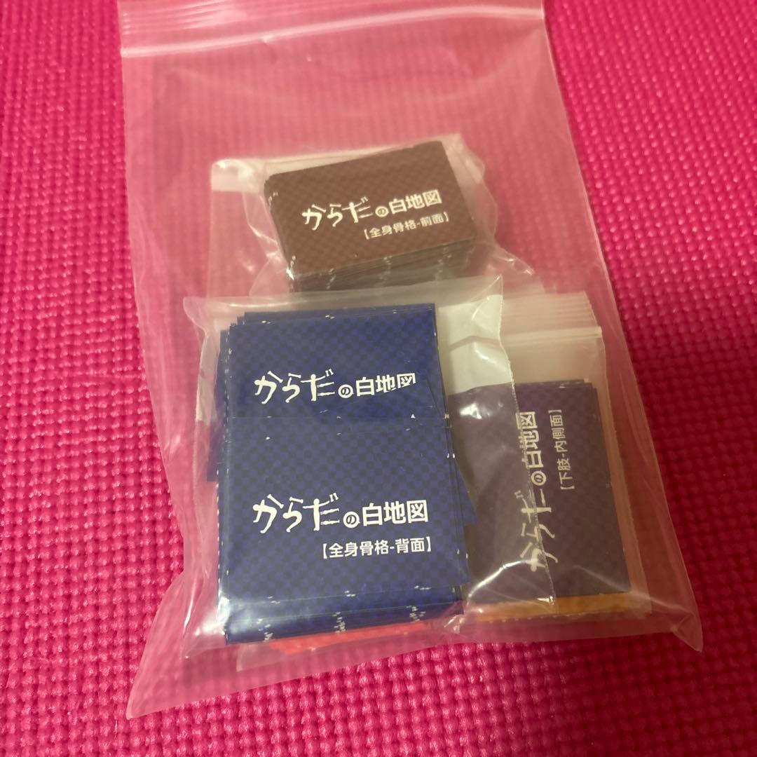 カラダの白地図 筋肉・付着部の解剖冊子