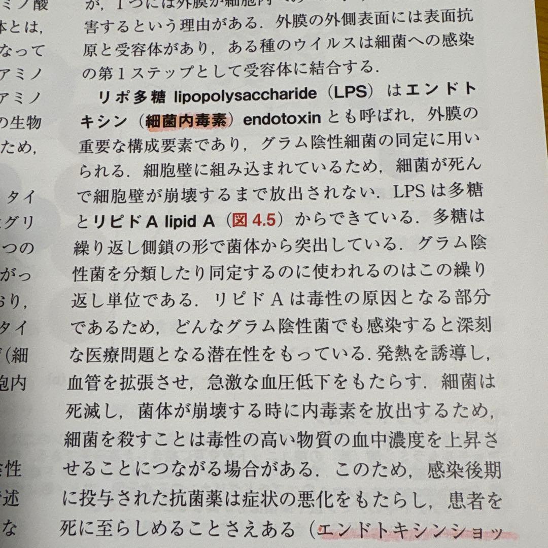 ブラック微生物学