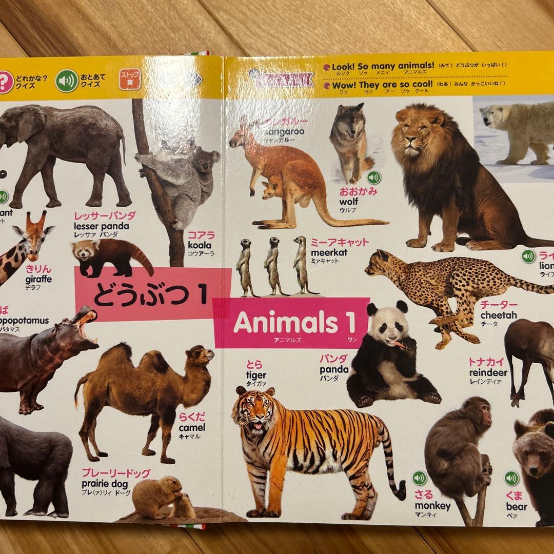 はじめてずかん1000 まいにちのことばずかん1500 2冊セット