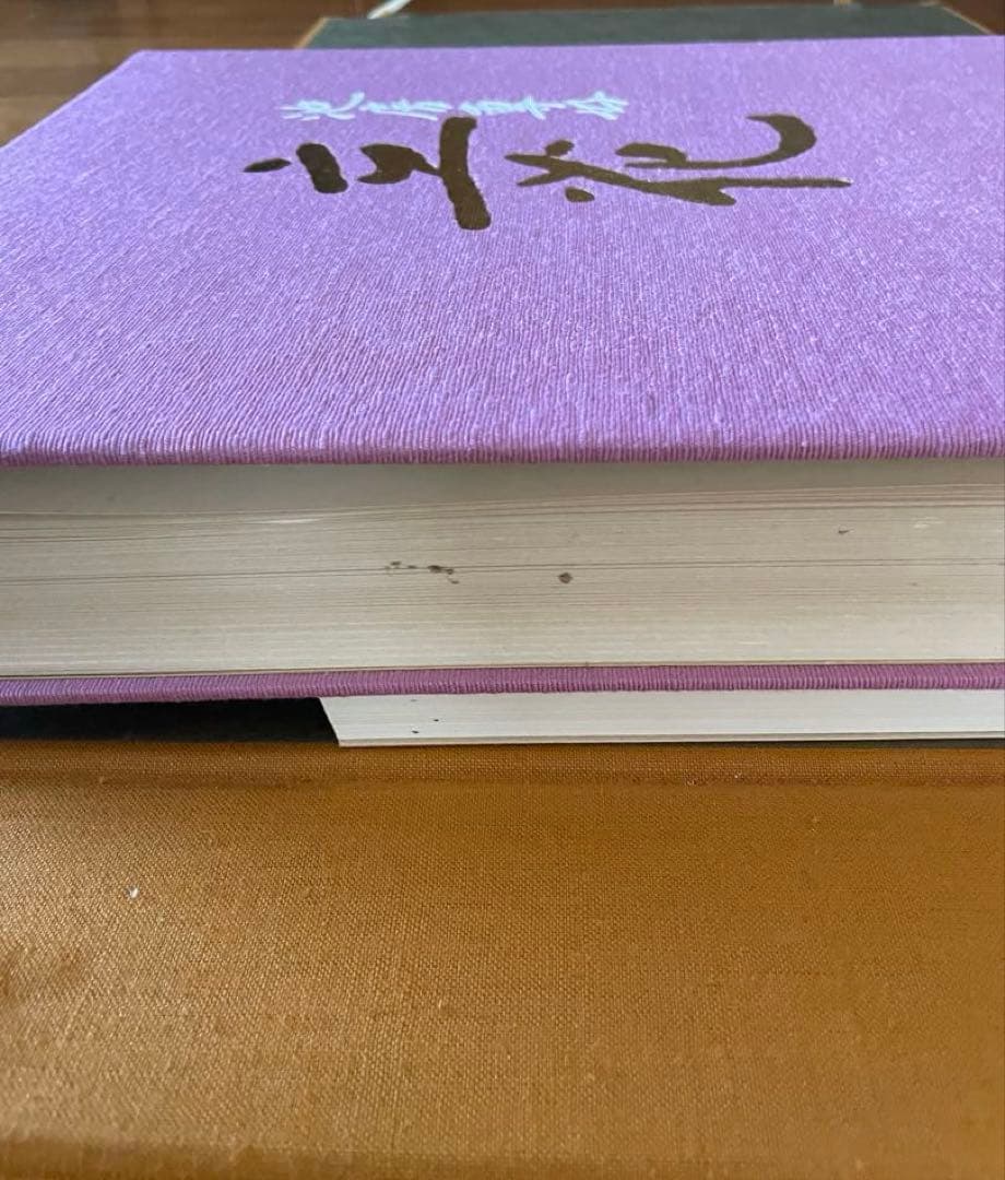 池房専好　立花　陽明文庫蔵　講談社