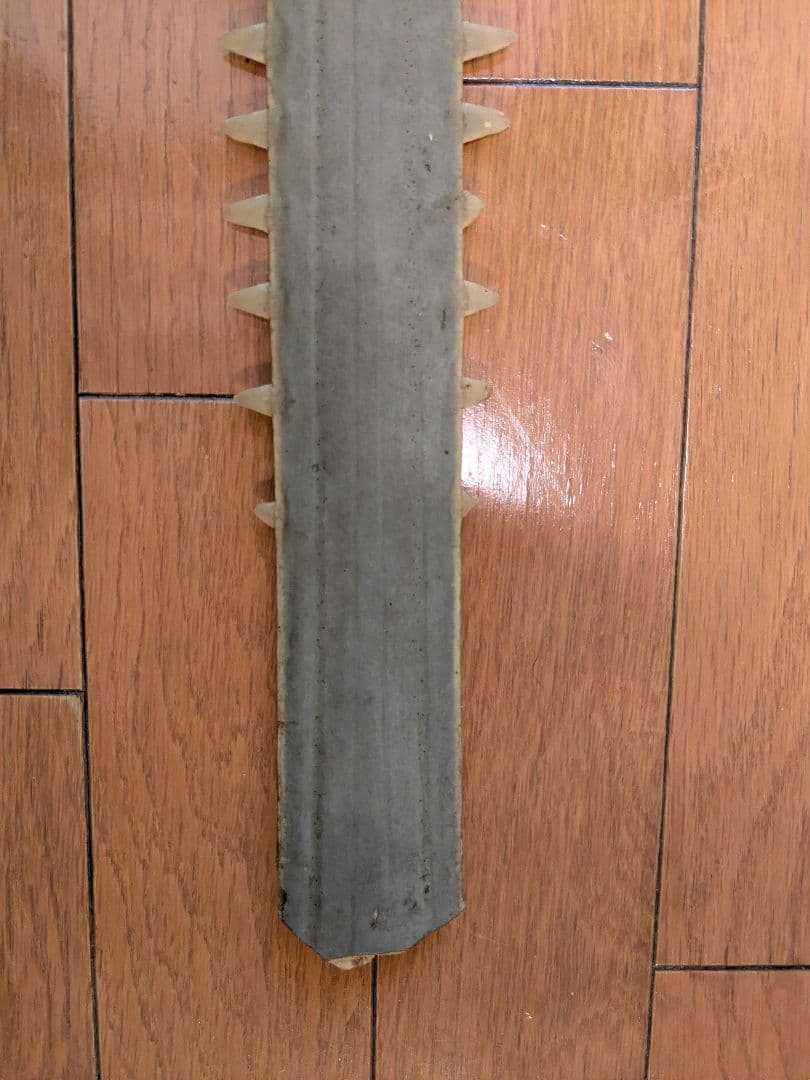 ノコギリエイの吻　約58㎝
