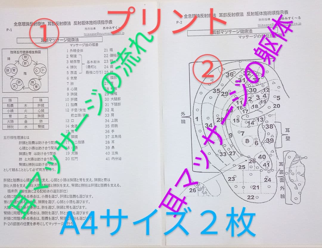 Bc:耳つぼ学ぶ：耳臨床54例集+臓器/躯体ラミネート+解説冊子/プリントset