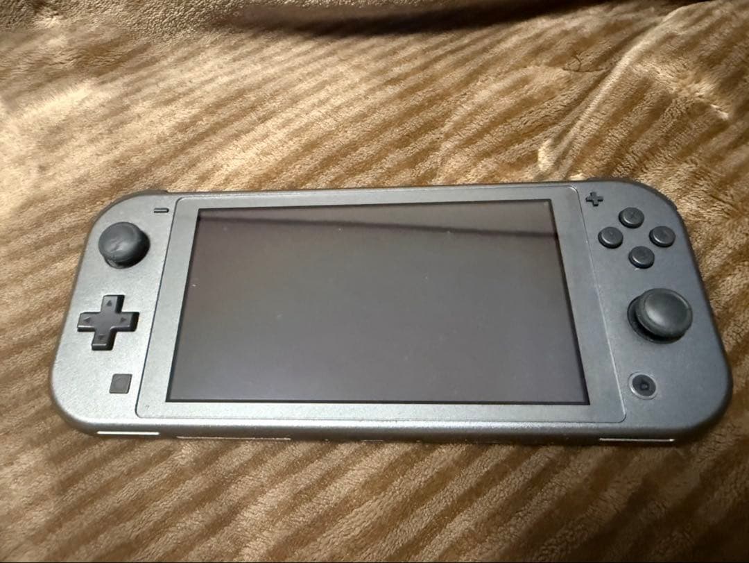 ポケモンデザインのグレーのNintendo Switch Lite、