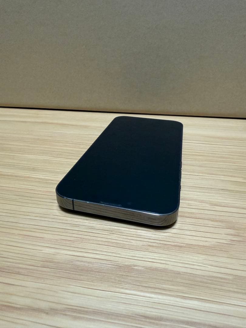 【摂津の野武士さま専用】iPhone 13 Pro 256GB 香港版カメラ音無