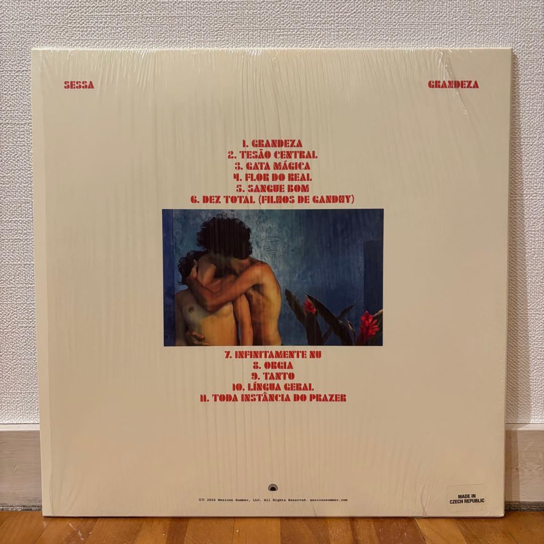 レコード Sessa Grandeza レアグルーヴ フォーク ボサノバ MPB