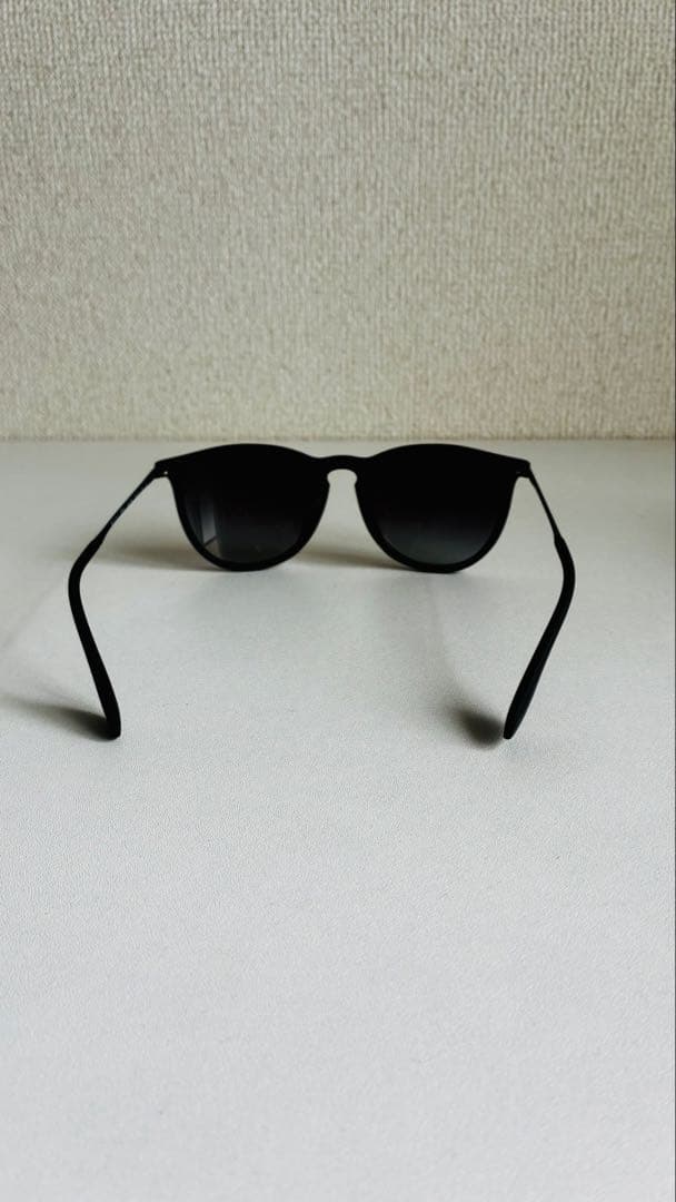 Ray-Ban 人気モデル「ERIKA」 ブラックサングラス ケース付き