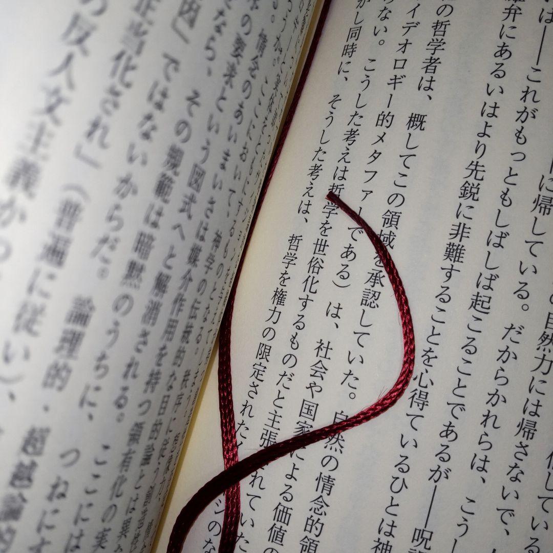 野生のアノマリー スピノザにおける力能と権力　ネグリ